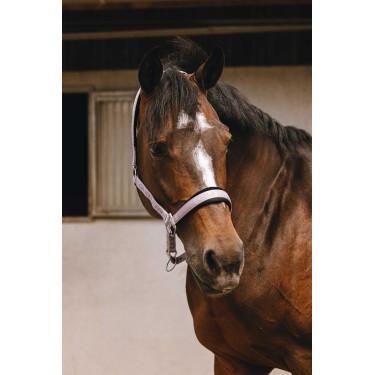 Nylonhalfter Equithème Jacquard Flieder Blau Nylonhalfter Equithème Jacquard Flieder Blau