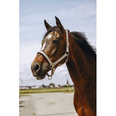 Nylonhalfter Equithème Jacquard Maulwurf Braun Nylonhalfter Equithème Jacquard Maulwurf Braun