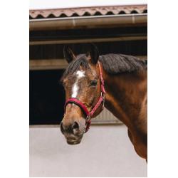 Nylonhalfter Equithème Jacquard Bordeaux