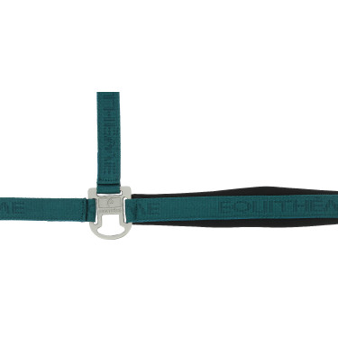 Nylonhalfter Equithème Jacquard Entenblau
