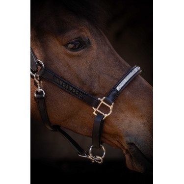 Halfter Pénélope Harmonie