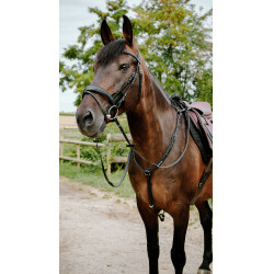 Endurance-Zaumzeug Norton Pop