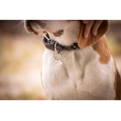 Halsband für Hunde Penelope Billie