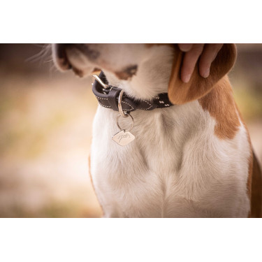 Halsband für Hunde Penelope Billie