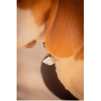 Halsband für Hunde Penelope Billie Schwarz / Lurex