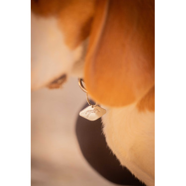 Halsband für Hunde Penelope Billie