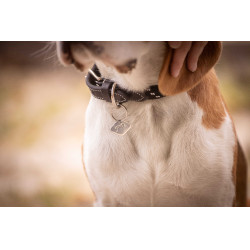 Halsband für Hunde Penelope Billie