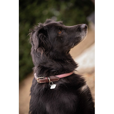 Halsband für Hunde Penelope Billie