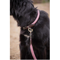 Halsband für Hunde Penelope Billie Rose / Lurex Rosa
