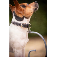 Hundehalsband Pénélope Olie Schwarz
