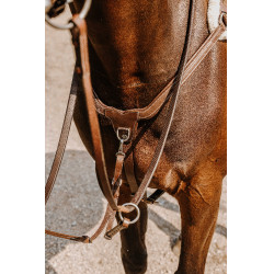 Brustblatt NORTON – 5 Punkte