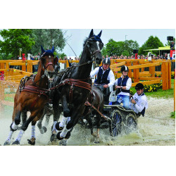 Gilet airbag Helite Air jacket adulte Gilet airbag Helite Air jacket adulte