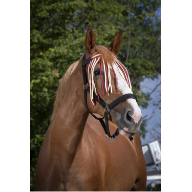Frontal Fliegenabweiser Norton Rot / Naturweiß