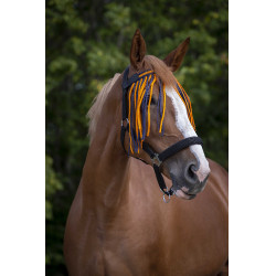 Frontal Fliegenabweiser Norton Marine / Orange Blau Frontal Fliegenabweiser Norton Marine / Orange Blau