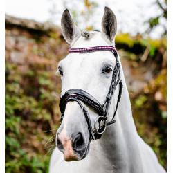 Trense Horseware Diamante Flash Schwarz / Rosa