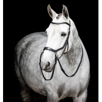 Pony-Zaumzeug Horseware Flash Braun