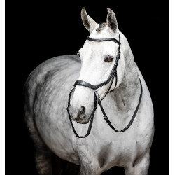Pony-Zaumzeug Horseware Flash Braun
