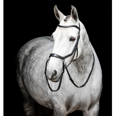Pony-Zaumzeug Horseware Flash Braun