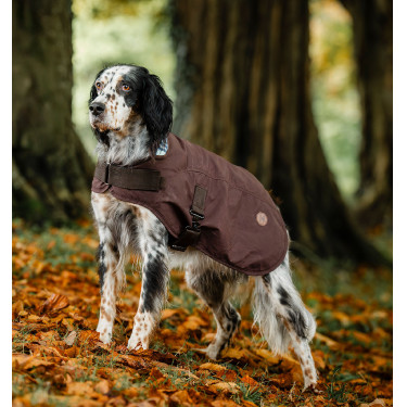 Hundedecke Horseware Heritage Newmarket Braun / Marineblau Witney