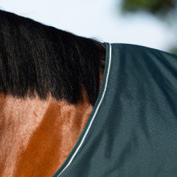 Paddockdecke Imperial Riding Basic ohne Halsteil 300 g Grün Grün Paddockdecke Imperial Riding Basic ohne Halsteil 300 g Grün Grün