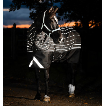 Pferdedecke Horseware Amigo 1200D FieldSafe Reflectech Plus Turnout 250 g Schwarz / reflektierendes Schwarz Pferdedecke Horseware Amigo 1200D FieldSafe Reflectech Plus Turnout 250 g Schwarz / reflektierendes Schwarz