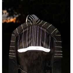 Pferdedecke Horseware Amigo 1200D FieldSafe Reflectech Plus Turnout 250 g Schwarz / reflektierendes Schwarz Pferdedecke Horseware Amigo 1200D FieldSafe Reflectech Plus Turnout 250 g Schwarz / reflektierendes Schwarz