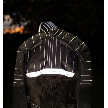 Pferdedecke Horseware Amigo 1200D FieldSafe Reflectech Plus Turnout 250 g Schwarz / reflektierendes Schwarz Pferdedecke Horseware Amigo 1200D FieldSafe Reflectech Plus Turnout 250 g Schwarz / reflektierendes Schwarz