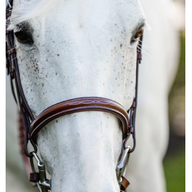 Pony-Trense Horseware Cavesson Hunter mit Zügeln Braun
