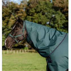 Horseware Amigo Ripstop 900D Plus Poney Turnout 0g Decke Grün Dynastie / Marineblau / Silber Horseware Amigo Ripstop 900D Plus Poney Turnout 0g Decke Grün Dynastie / Marineblau / Silber