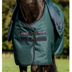 Horseware Amigo Ripstop 900D Plus Poney Turnout 0g Decke Grün Dynastie / Marineblau / Silber Horseware Amigo Ripstop 900D Plus Poney Turnout 0g Decke Grün Dynastie / Marineblau / Silber