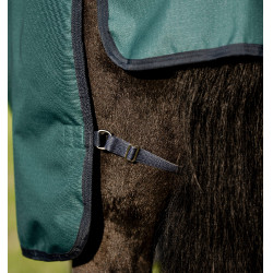 Horseware Amigo Ripstop 900D Plus Poney Turnout 0g Decke Grün Dynastie / Marineblau / Silber Horseware Amigo Ripstop 900D Plus Poney Turnout 0g Decke Grün Dynastie / Marineblau / Silber