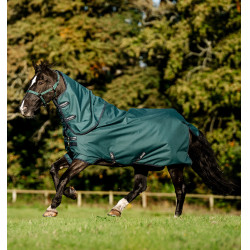 Horseware Amigo Ripstop 900D Plus Poney Turnout 0g Decke Grün Dynastie / Marineblau / Silber Horseware Amigo Ripstop 900D Plus Poney Turnout 0g Decke Grün Dynastie / Marineblau / Silber
