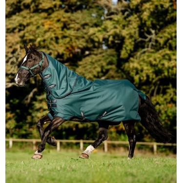 Horseware Amigo Ripstop 900D Plus Poney Turnout 0g Decke Grün Dynastie / Marineblau / Silber Horseware Amigo Ripstop 900D Plus Poney Turnout 0g Decke Grün Dynastie / Marineblau / Silber