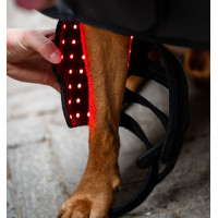 LED-Rotlicht-Therapie-Gamaschen für Hunde von Horseware Schwarz / schwarz