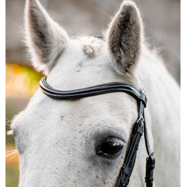 Pony-Zaumzeug Horseware Flash Schwarz