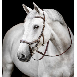 Trense Horseware Micklem Deluxe Competition Dunkles Havanna Braun
