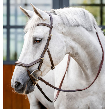 Trense Horseware Micklem Deluxe Competition Dunkles Havanna Braun