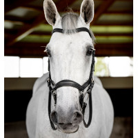 Trense Horseware Micklem Deluxe Competition