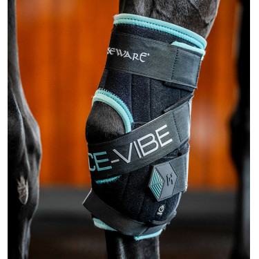 Gamaschen Horseware Ice-Vibe Schwarz / Aqua