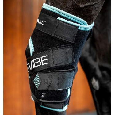 Gamaschen Horseware Ice-Vibe Schwarz / Aqua