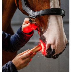 Horseware-Therapiestift mit rotem LED-Licht