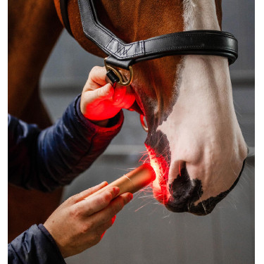 Horseware-Therapiestift mit rotem LED-Licht