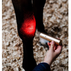 Horseware-Therapiestift mit rotem LED-Licht
