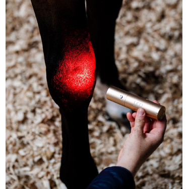 Horseware-Therapiestift mit rotem LED-Licht