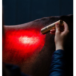Horseware-Therapiestift mit rotem LED-Licht