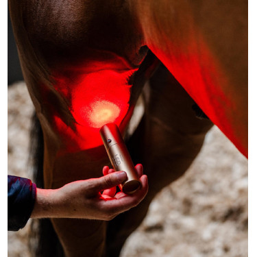 Horseware-Therapiestift mit rotem LED-Licht