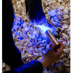 Horseware-Therapiestift mit rotem LED-Licht