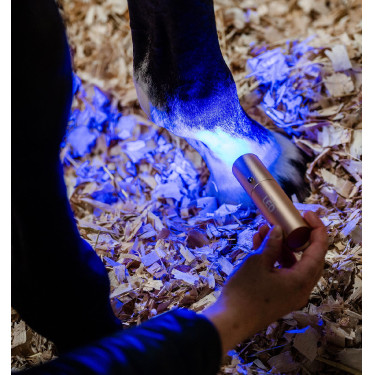 Horseware-Therapiestift mit rotem LED-Licht