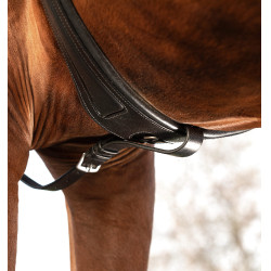 Horseware Micklem Vorderzeug mit Martingal Schwarz