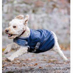 Therapeutische Decke für Hunde Horseware Ionic 50 g Imperialblau / Silber & Marineblau